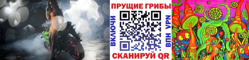 Псилоцибиновые грибы Psilocybine cubensis kraken ССЫЛКА Питкяранта